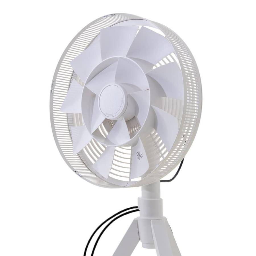 BALMUDA☆扇風機 リビング扇風機 BALMUDA EGF-1400 2019年製