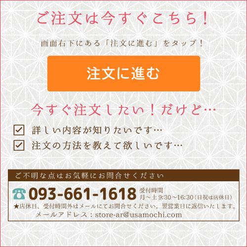 お祝い風呂敷 送料無料 選べる９種類 1歳 誕生日｜usamochi｜13