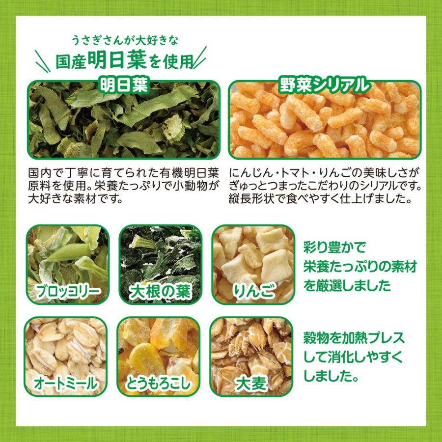 ＧＥＸ　 うさグラ 　緑の野菜　１５０ｇ｜usausarabbitry｜03