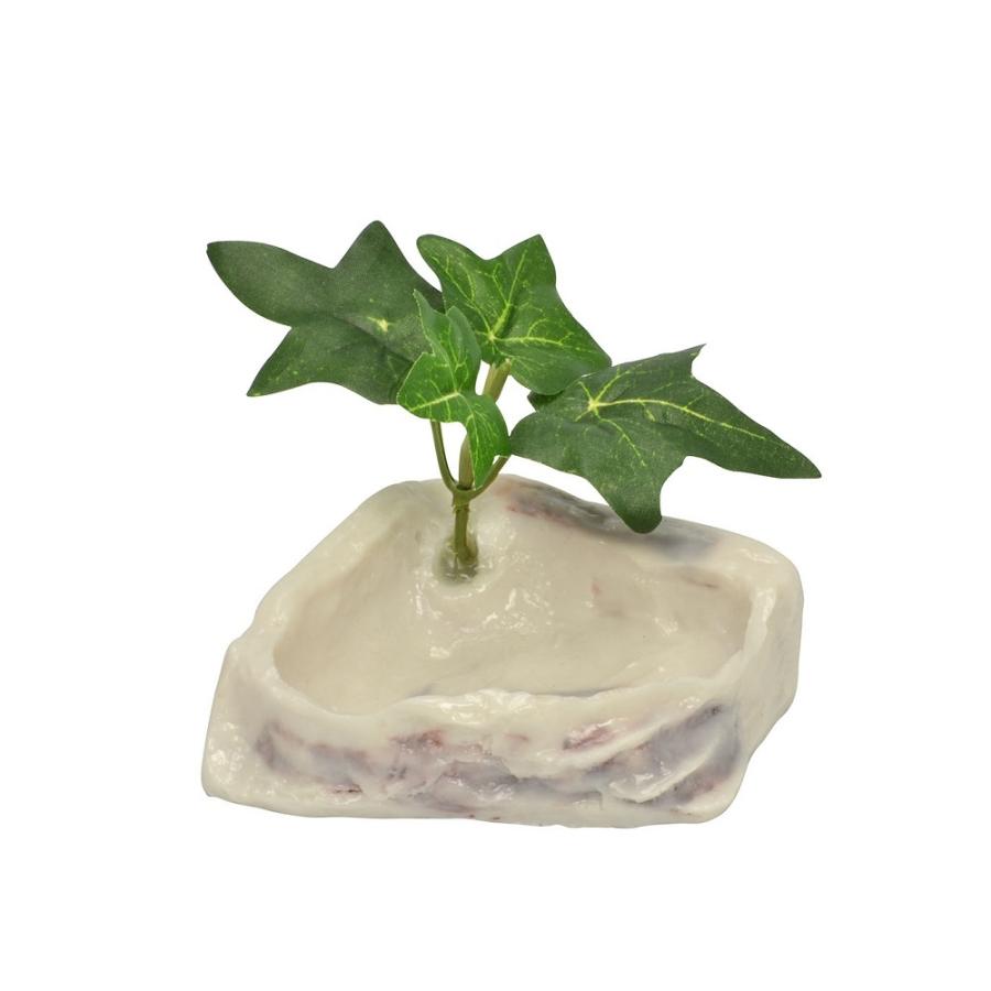 三晃商会 サンコー オカヤドカリのプール オカヤドカリ用水入れ うさうさラビトリー ヤフー店 通販 Yahoo ショッピング