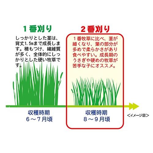 三晃商会　サンコー　北海道ソフトチモシー ６００ｇ　[やわらか二番刈り]｜usausarabbitry｜02