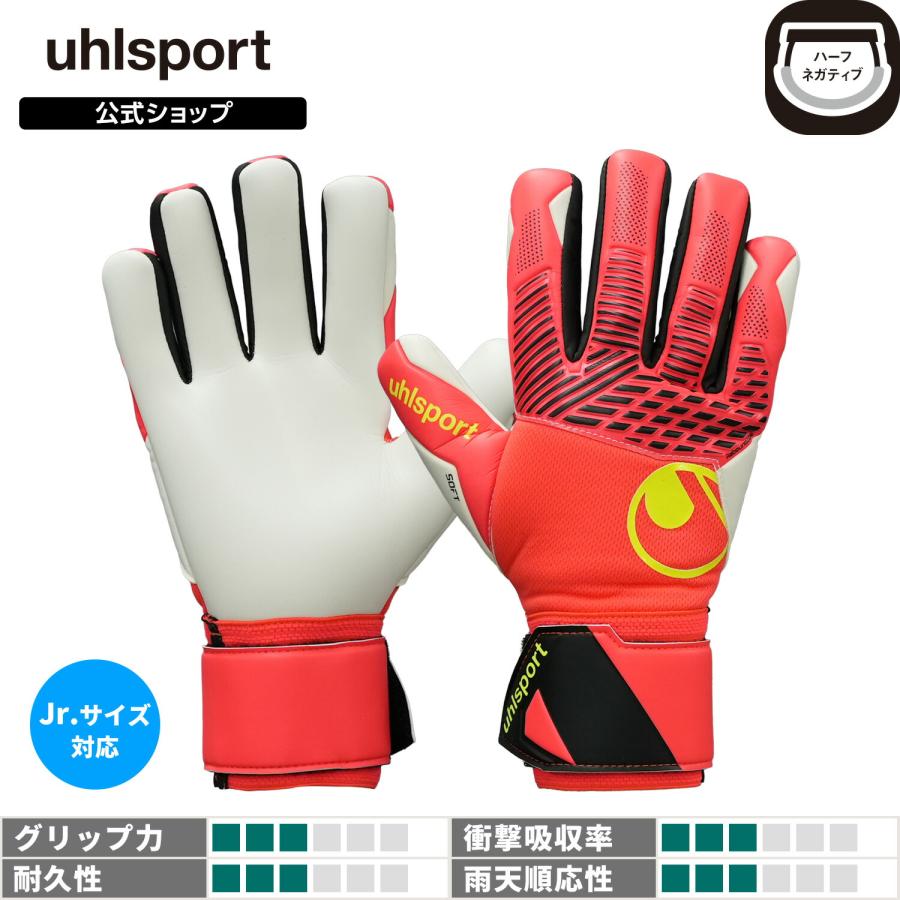 希少株 オウカンリュウ 12号 子株付き 現品 希少株オウカンリュウ12号