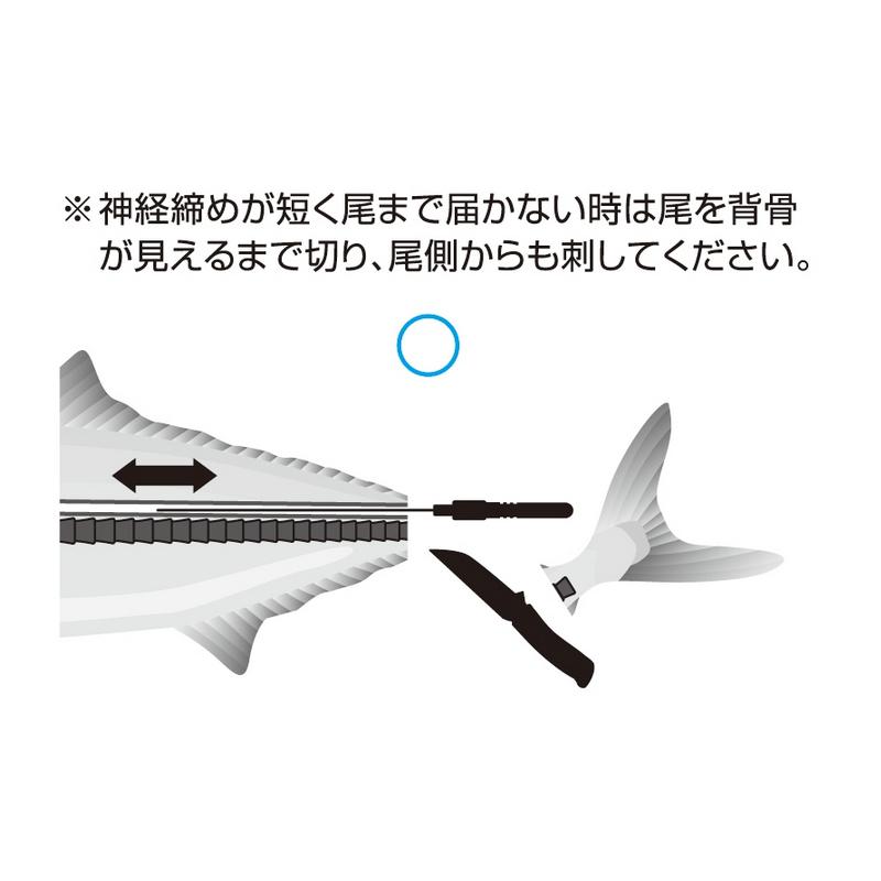 形状記憶合金 神経締め Φ0.8mm×80cm MP-222 釣り 活け締め フィッシング 釣具 磯釣り ショア 落とし込み 堤防 belmont ベルモント H 送料無料 メール便｜uscire｜07