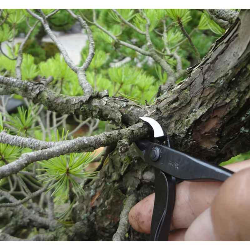盆栽道具 ミニ又枝切 バネ付 No.2B 園芸 鉢植え ガーデニング お手入れ BONSAI 日本製 兼進刃物製作所 代引不可_3