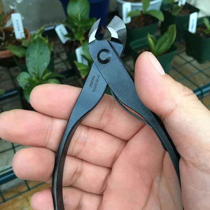 盆栽道具 ミニ又枝切 バネ付 No.2B 園芸 鉢植え ガーデニング お手入れ BONSAI 日本製 兼進刃物製作所 代引不可_4