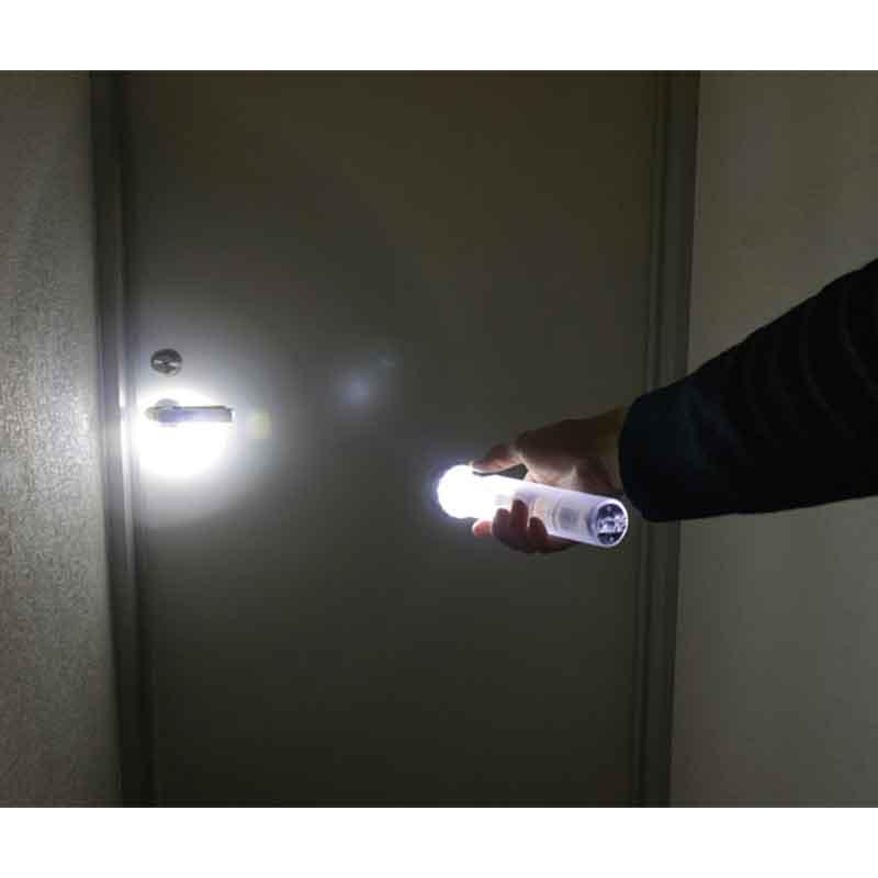 DAISHIN（大進） 懐中電灯 振るだけで点灯する乾電池がいらないLED