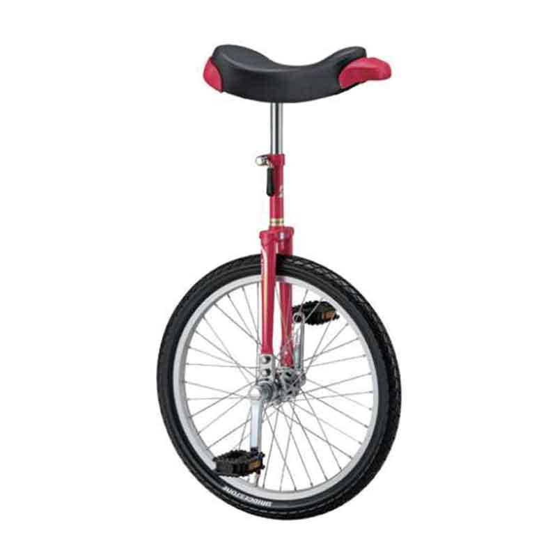 KOKUSAI 一輪車 スピンズ 20インチ ブルー ピンク バランス 遊び 遊具