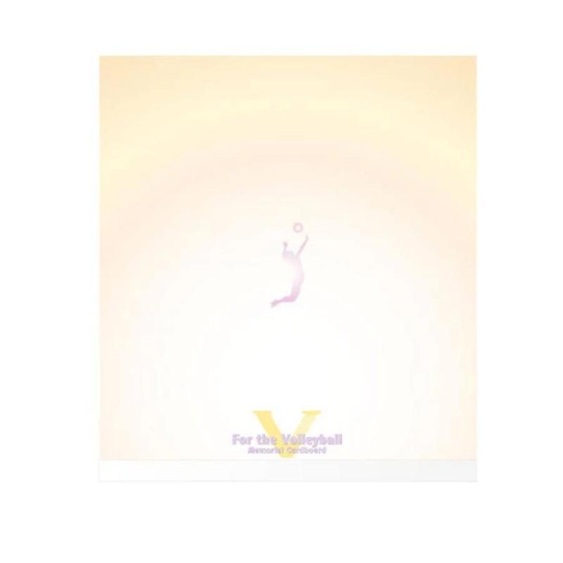 色紙 サイン色紙 バレーボール-2 FD13-14 10枚セット 運動 練習 部活動