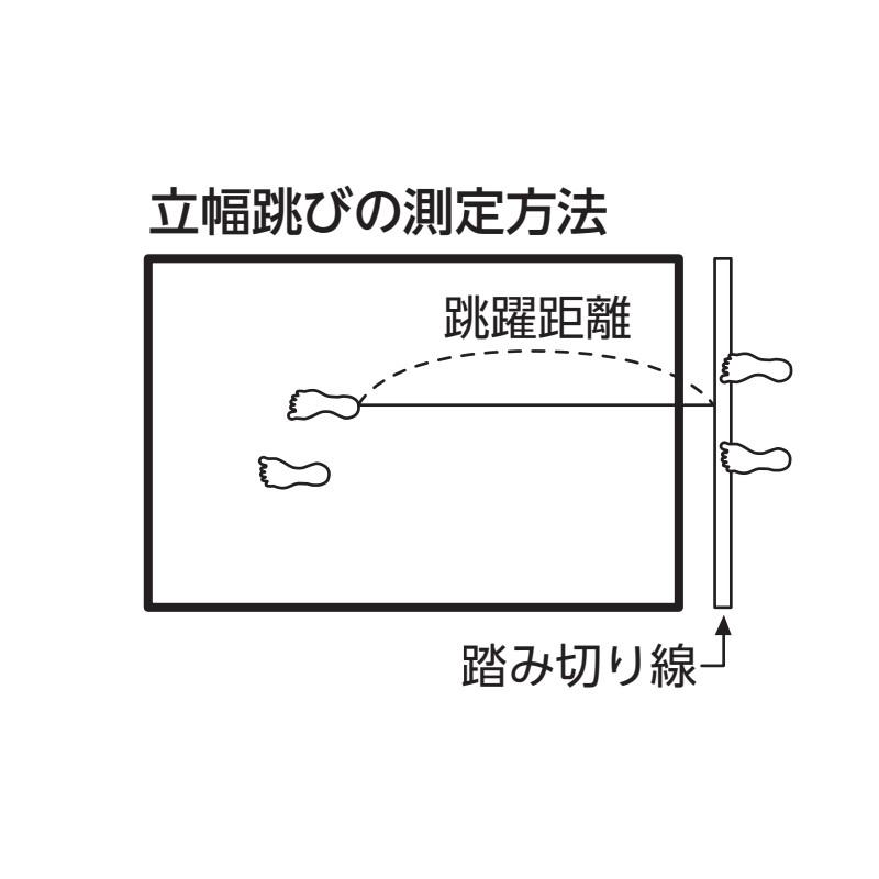 マット 立ち幅跳び測定マット2 EKJ099 100cm×330cm×3cm イベント 運動会 体力測定 立ち跳び 体育館 屋内 ポリエステル EVERNEW エバニュー Sス 代引不可_2