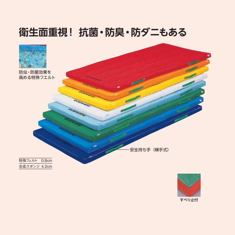 受注生産 抗菌防ダニマットすべり止付 EKM081 カラー選択 90×180×5 体操 カラー体操マット 抗菌 防臭 再生ポリエステル EVERNEW エバニュー Sス 代引不可の画像