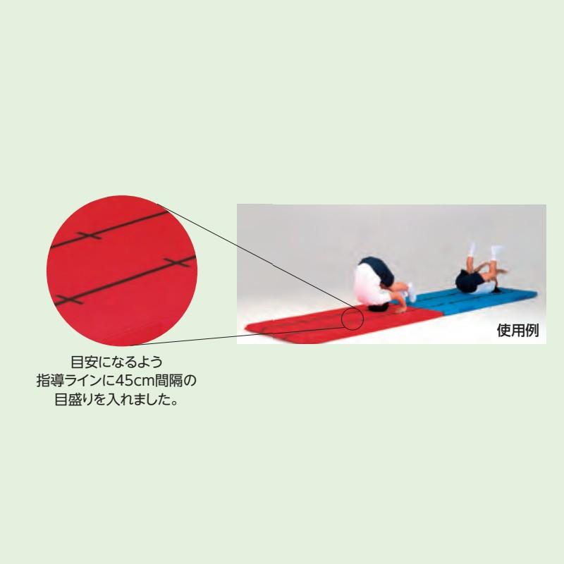 受注生産 軽量指導ライン入連結エコマット EKM069 カラー選択 90×180×5 体操 カラー体操マット フェルト ウレタン EVERNEW エバニュー Sス 代引不可の画像