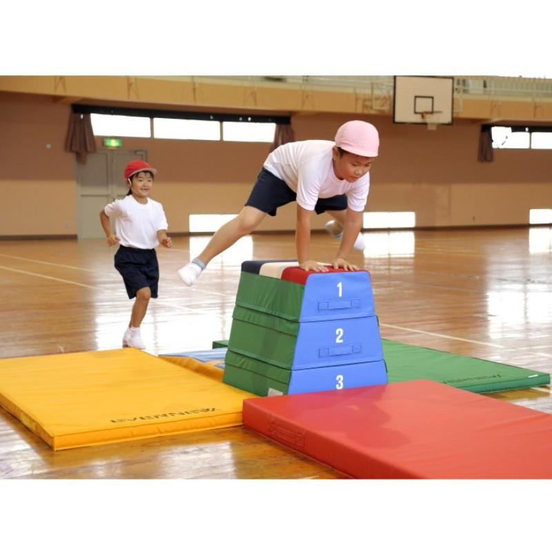 受注生産 屋内すべり止カラーマット EGD310 カラー選択 90×180×10 カラー体操マット 抗菌 防炎 ターポリン 半硬質ウレタン EVERNEW エバニュー Sス 代引不可の画像