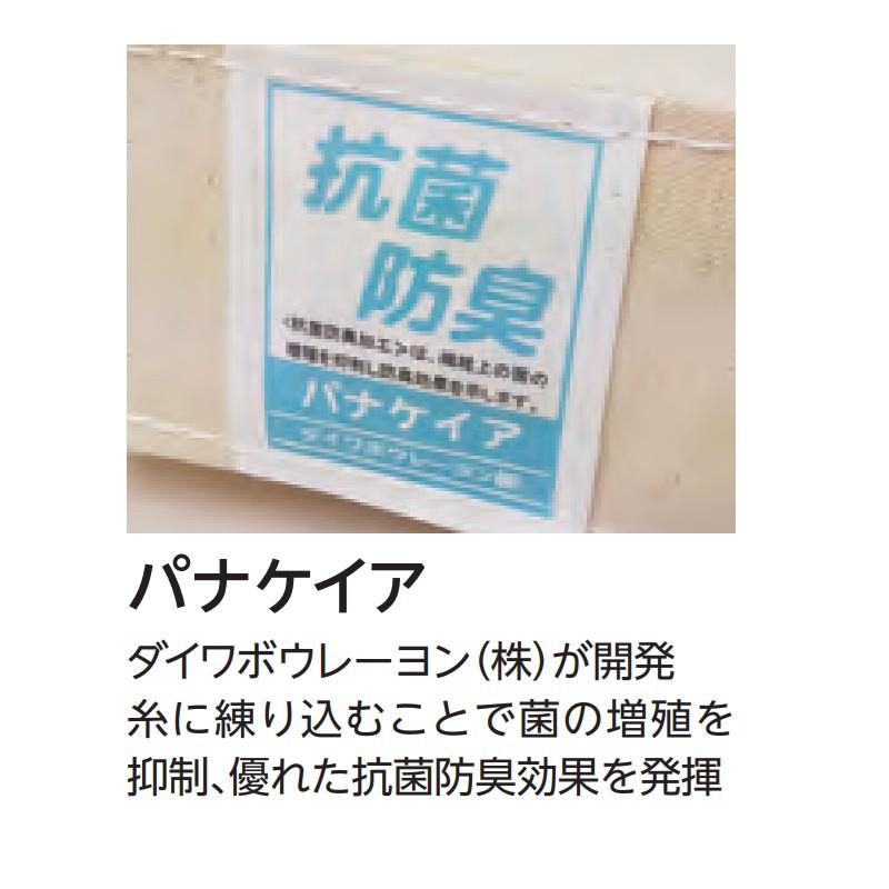 抗菌合成スポンジマットすべり止付9号 EKM183 120×300×5 体操 体操