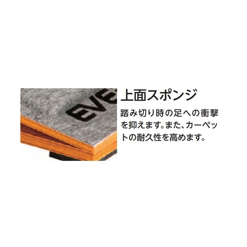 受注生産 ロイター板 ER-100DX EKF408 100×50×15cm 体操 ロイター板 成形合板 ポリプロピレン スポンジ 小学校 EVERNEW エバニュー Sス 代引不可の画像