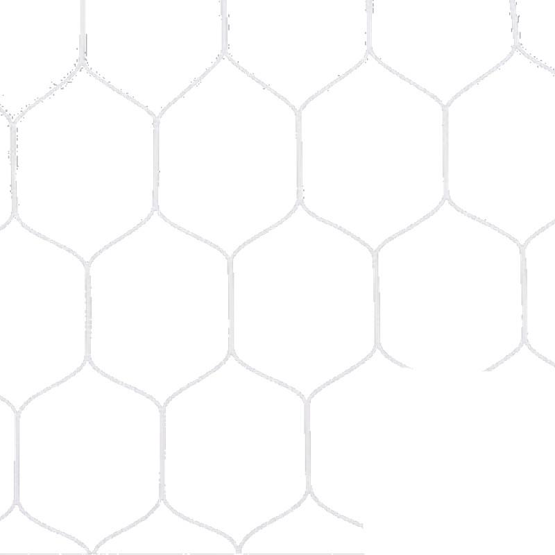 ジュニアサッカーゴールネット 亀甲タイプ 2枚1組 J114 EKD849 球技