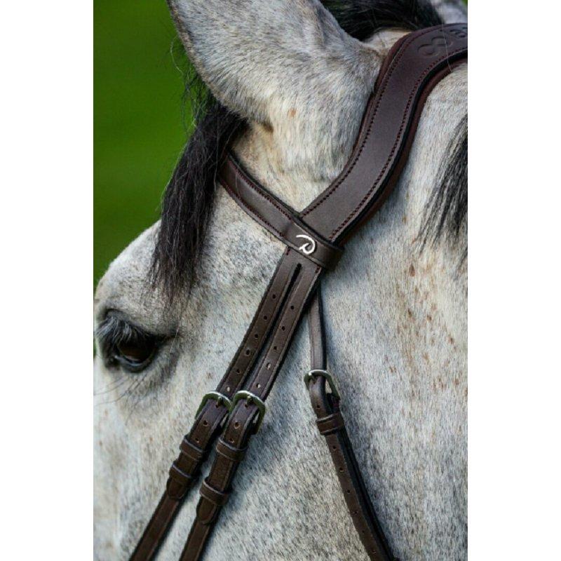 水勒 頭絡セット ディオン頭絡 フラッシュ鼻革 DY111 黒 茶 コブ フル 