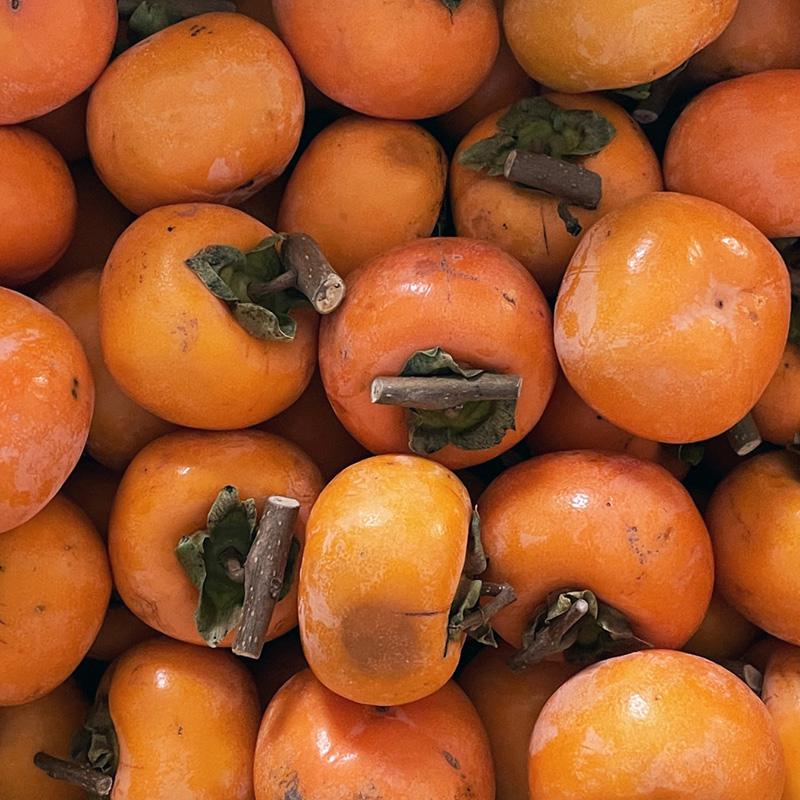 柿 しぶぬき ネオヘースタン シブガキ専用 柿20kgに1袋 渋抜き剤 果実