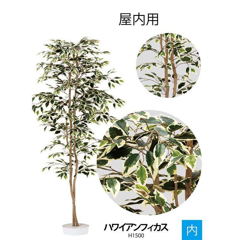 人工植物 樹木 屋内用 ハワイアンフィカス A70ND065 エクステリア リフェイクグリーン グローベン Lク 北海道配送不可 代引不可_1