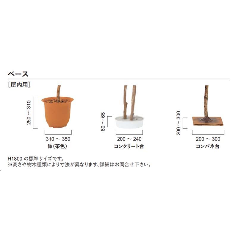 人工植物 樹木 屋内用 ハワイアンフィカス A70ND065 エクステリア リフェイクグリーン グローベン Lク 北海道配送不可 代引不可_3