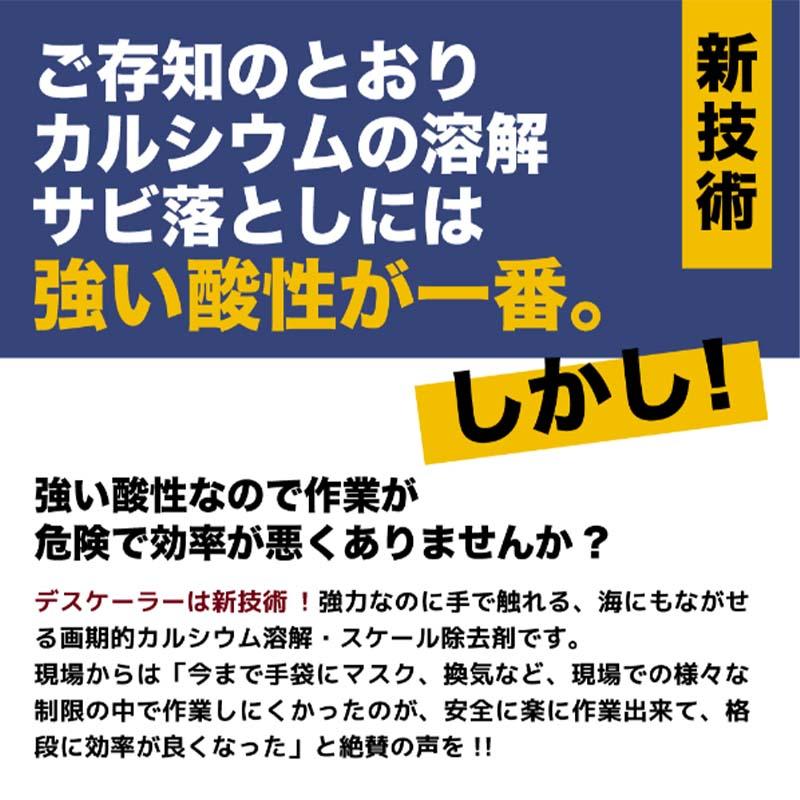 溶解液 インパクトデスケーラー プレミアム 1L ポリ容器 サビ 取り 落とし 強酸性 カルシウム溶解 プロアップ PROUP Wing M ウィングエム フTD_8