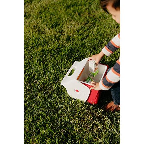 IGLOO 4 QT PLAYMATE MINI HARDSIDED LUNCH BOX COOLER, RED | igloo | 06