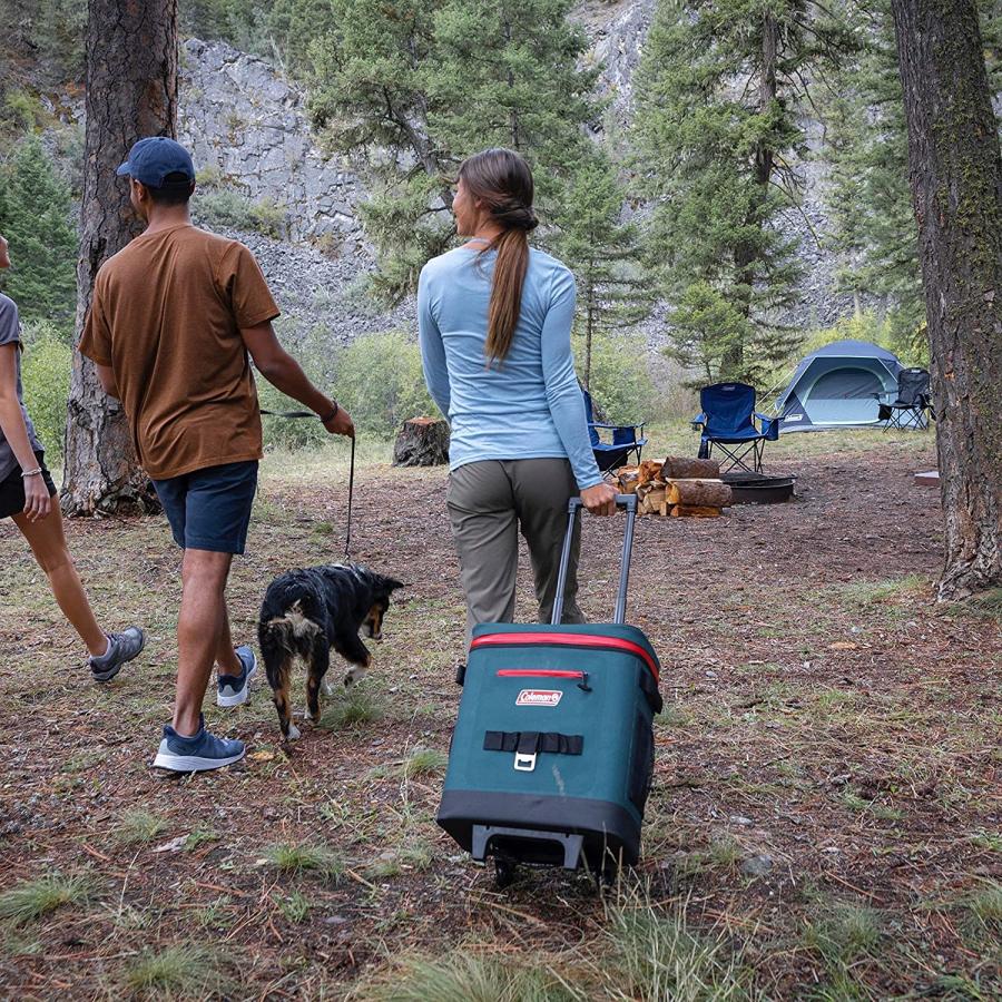 Coleman Soft Cooler Bag High-Performance Leak-Proof Soft Cooler Portable Beverage Cooler | Coleman | 09