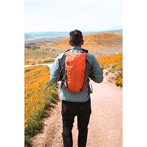 ALPS MOUNTAINEERING CHILI/GRAY, 20 LITERS | ALPS MOUNTAINEERING | 05