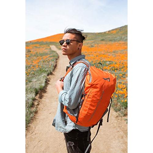 ALPS MOUNTAINEERING CHILI/GRAY, 20 LITERS | ALPS MOUNTAINEERING | 06