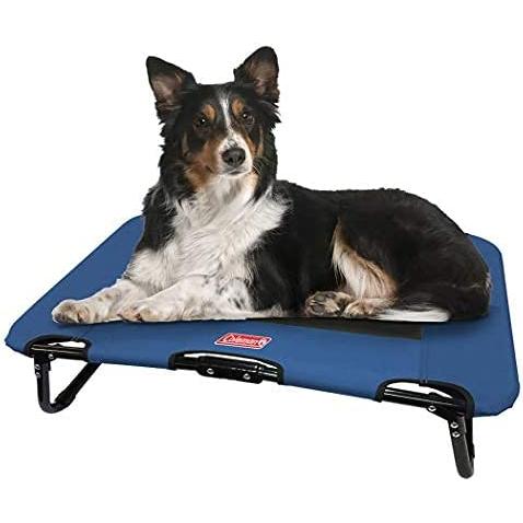 Coleman Folding Cot for Pet Up to 50 Lbs, 30 x 20 x 7 inches | Coleman