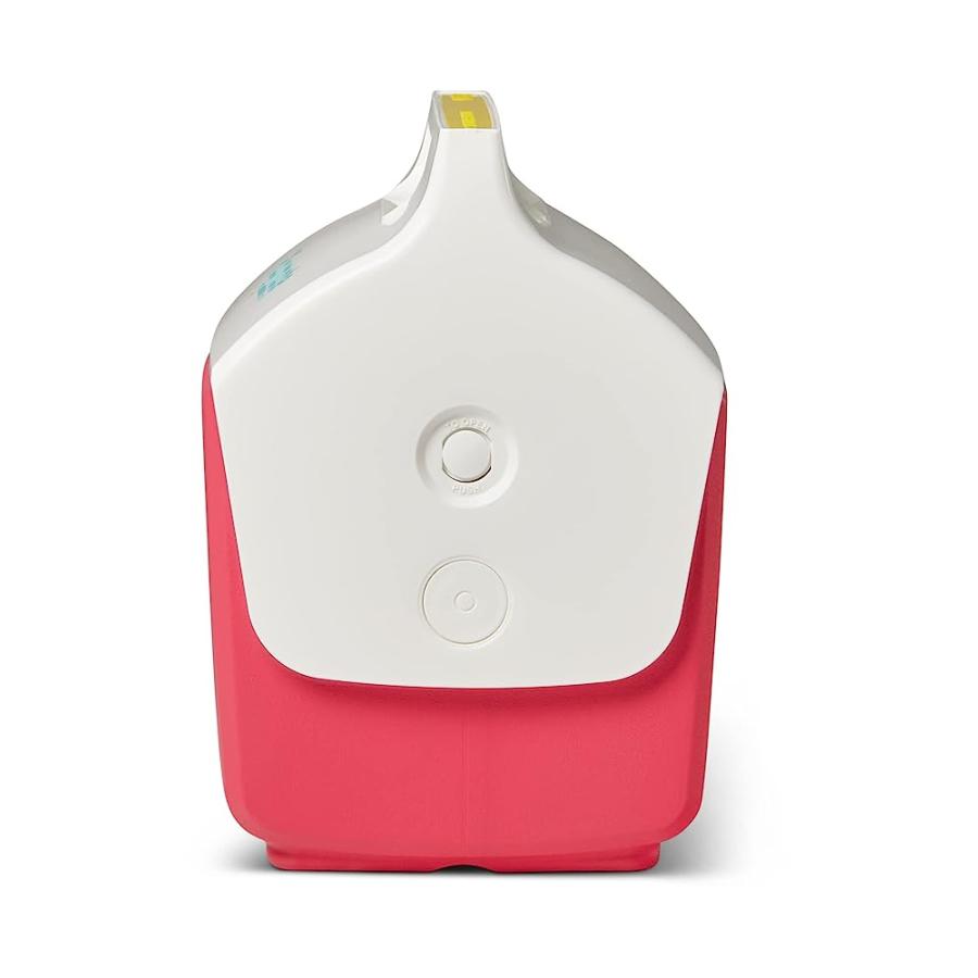 IGLOO RETRO LITTLE PLAYMATE: WATERMELON 7 QT COOLER | igloo | 03