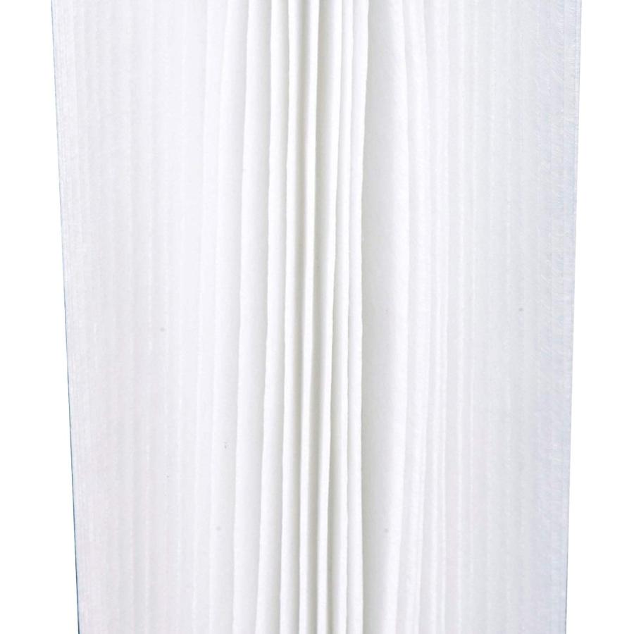 Coleman 90357E-BW Type III A/C Replacement Washable Pool Filter Cartridges for 1000 and 1500 GPH Filter Pumps, Green and White (2 Pack) | Coleman | 04