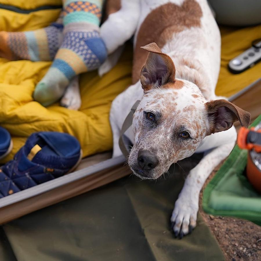 KELTY CABOOSE 4P TENT FOOTPRINT (FP ONLY) PROTECTS TENT FLOOR FROM WEAR AND TEAR | KELTY | 03