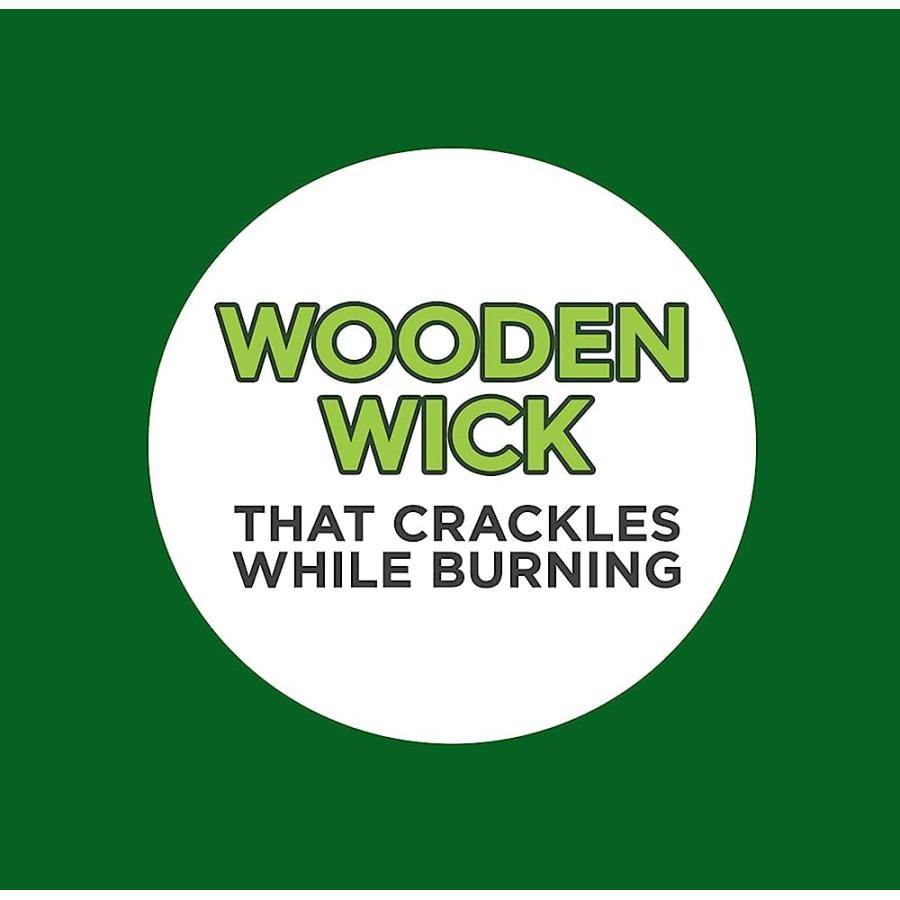 COLEMAN SCENTED OUTDOOR CITRONELLA CANDLE WITH WOODEN CRACKLE WICK - 6 OZ (PACK OF 6) | Coleman | 07