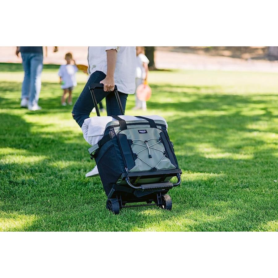 IGLOO ECO-FRIENDLY 40 -CAN CAMPING COLLAPSIBLE ROLLER COOLER- GRAY | igloo | 05