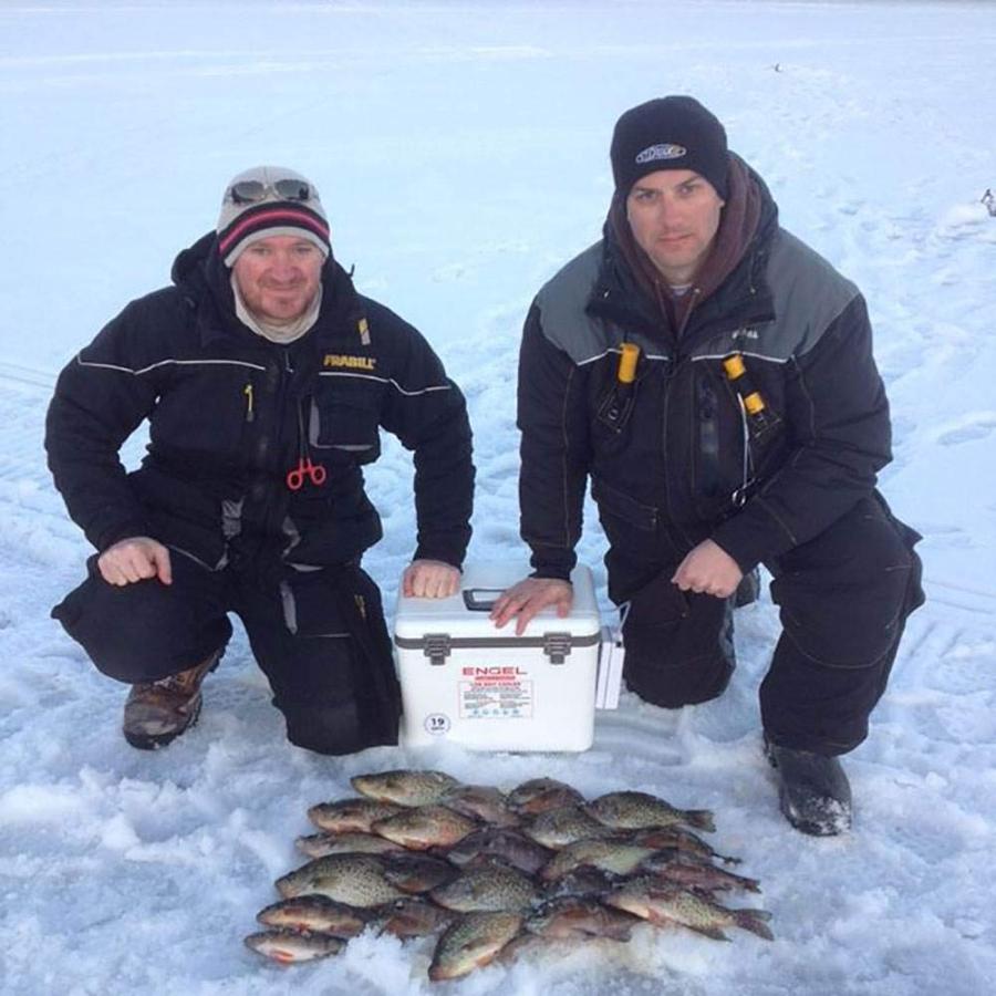 ENGEL 19QT LIVE BAIT COOLER BOX WITH 2ND GEN 2-SPEED PORTABLE AERATOR PUMP. FISHING BAIT STATION AND MINNOW BUCKET FOR SHRIMP, MINNOWS, AND OTHER |  | 03