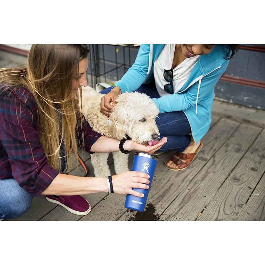 HYDRO FLASK 22 OZ. TUMBLER - STAINLESS STEEL, REUSABLE, VACUUM INSULATED WITH PRESS-IN LID | HYDRO FLASK | 06