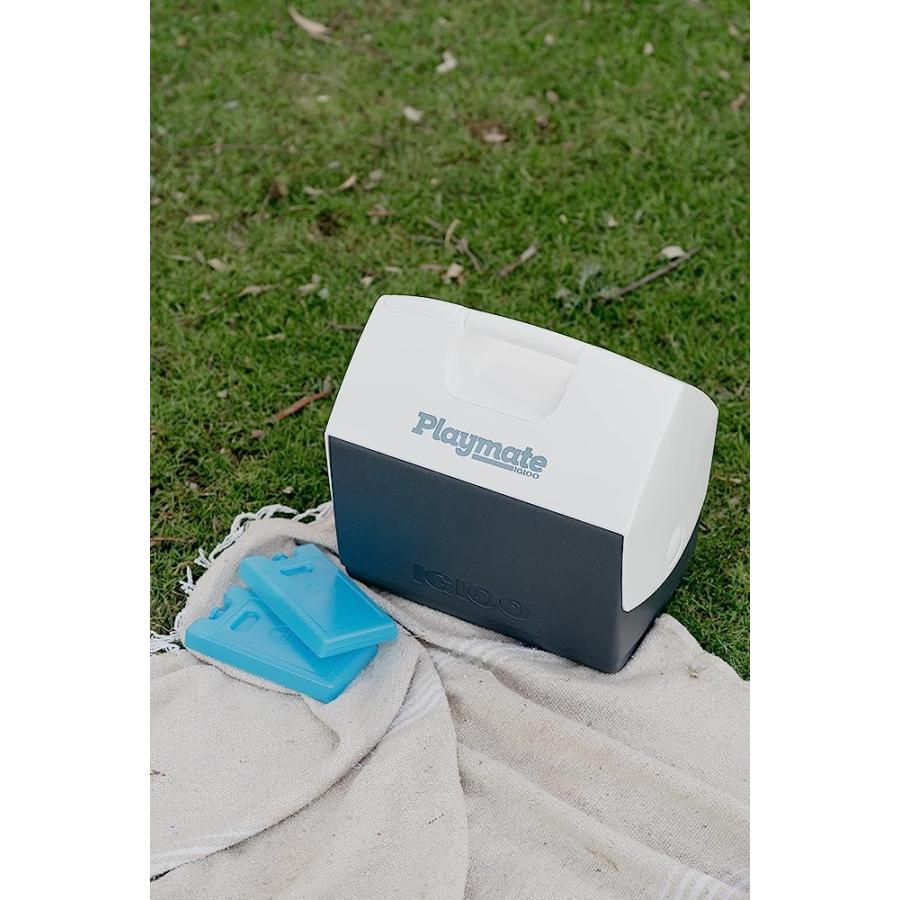 IGLOO MAXCOLD MEDIUM ICE BLOCK , BLUE | igloo | 02