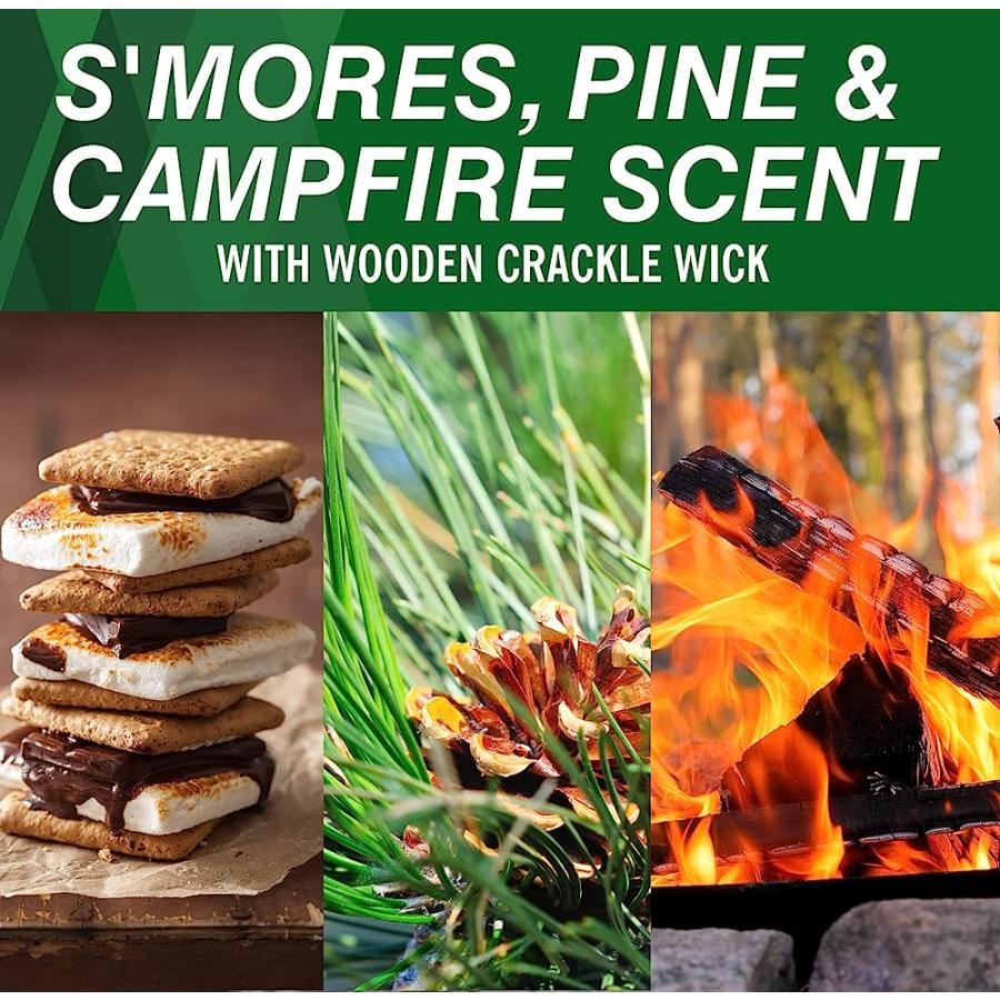 COLEMAN SCENTED TIN CITRONELLA CANDLE - 3 PACK, S'MORES, PINE AND CAMPFIRE | Coleman | 02