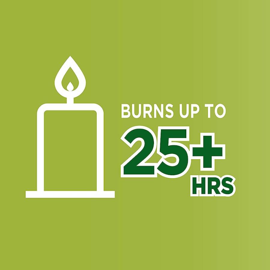 COLEMAN SCENTED TIN CITRONELLA CANDLE - 3 PACK, S'MORES, PINE AND CAMPFIRE | Coleman | 04