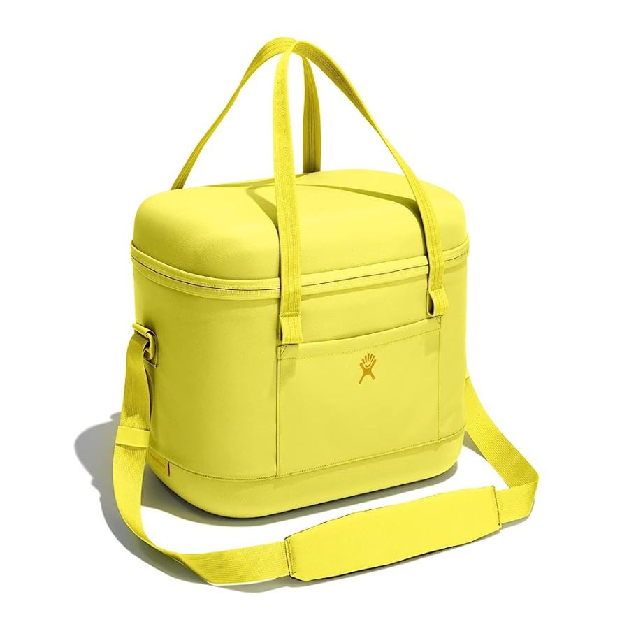 HYDRO FLASK 20 L REUSABLE INSULATED BAG CARRY OUT SOFT COOLER CACTUS - 24 HOURS COLD, BPA-FREE, NON-TOXIC | HYDRO FLASK | 01