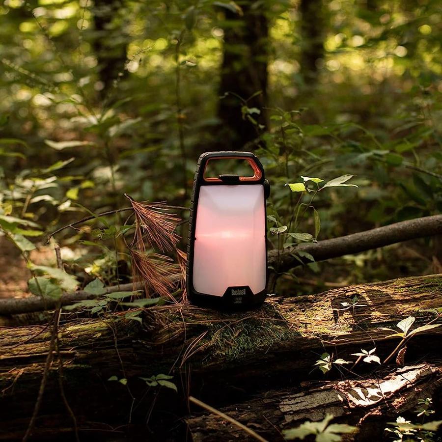 BUSHNELL LANTERNS (1000L) |  | 03