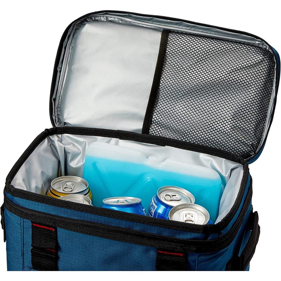 Coleman X-treme Chill Slim Ice Brick, Sport 5 Pack | Coleman | 05