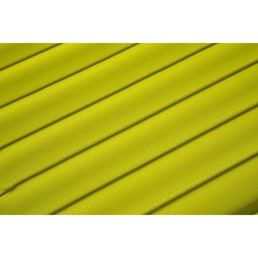 NEMO ASTRO INSULATED SLEEPING PAD (2022), BIRCH BUD, LONG WIDE | NEMO | 05