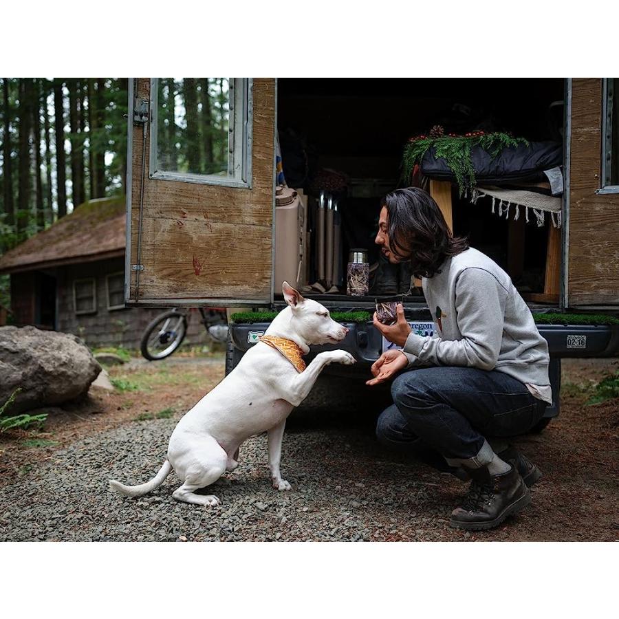STANLEY LEGENDARY CLASSIC FOOD JAR 24OZ HABITAT | STANLEY | 07
