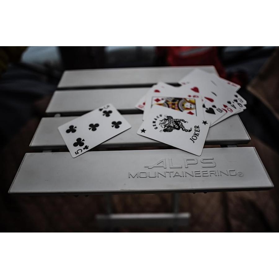 ALPS MOUNTAINEERING SIDEKICK - SILVER | ALPS MOUNTAINEERING | 06