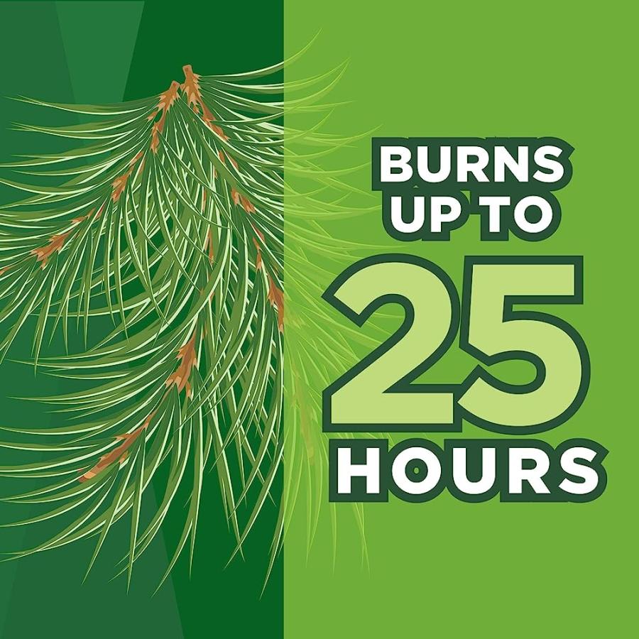 COLEMAN PINE SCENTED CITRONELLA CANDLE WITH WOODEN CRACKLE WICK - 6 OZ TIN | Coleman | 02