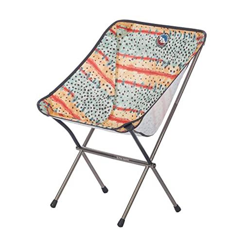 BIG AGNES MICA BASIN CAMP CHAIR XL, GREENBACK | BIG AGNES | 01