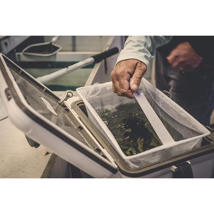 ENGEL 30QT LIVE BAIT COOLER BOX WITH 2ND GEN 2-SPEED PORTABLE AERATOR PUMP. FISHING BAIT STATION AND MINNOW BUCKET FOR SHRIMP, MINNOWS, AND OTHER |  | 08