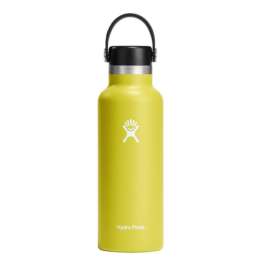 HYDRO FLASK 18 OZ STANDARD MOUTH WITH FLEX CAP STAINLESS STEEL REUSABLE WATER BOTTLE CACTUS -VACUUM INSULATED, DISHWASHER SAFE, BPA-FREE, NON-TOX | HYDRO FLASK
