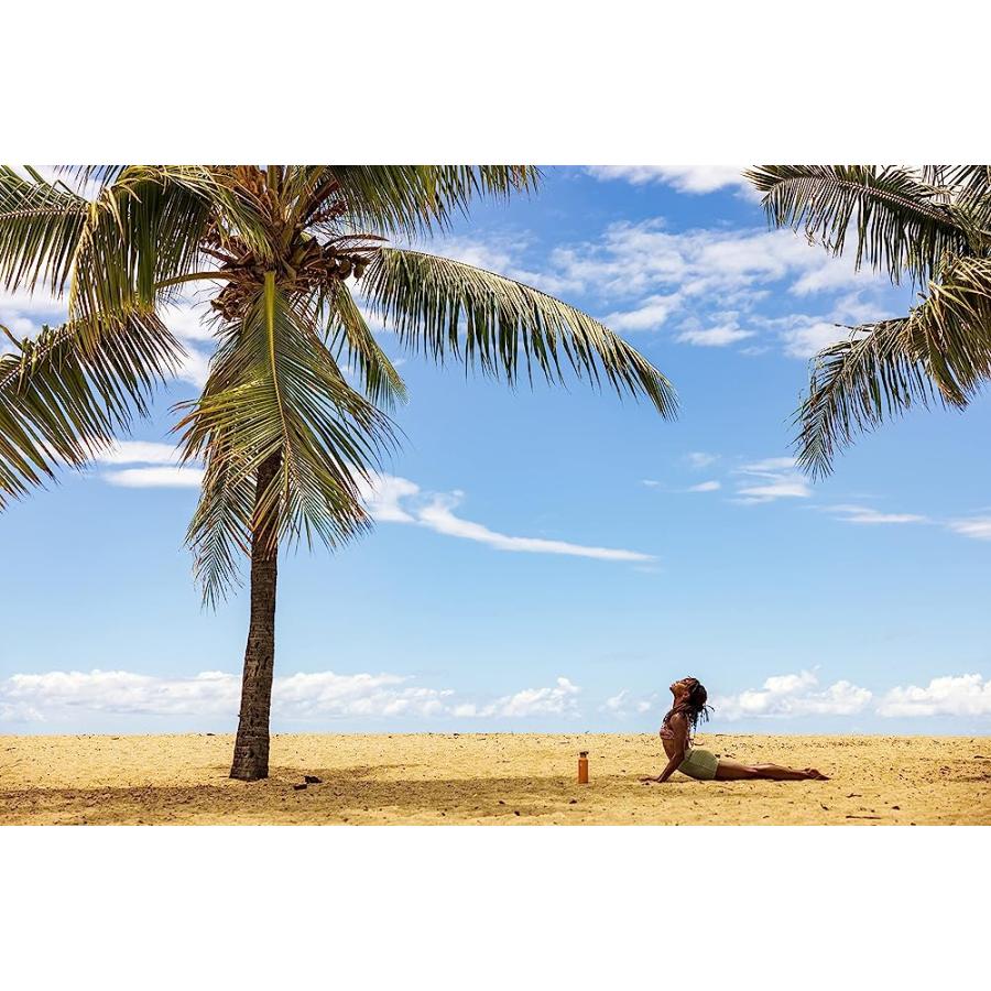 HYDRO FLASK STANDARD MOUTH BOTTLE WITH FLEX CAP | HYDRO FLASK | 03